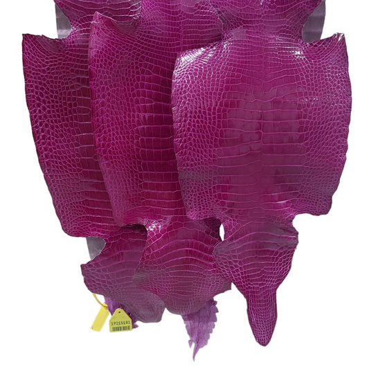 Fucshia Pink 23-29cm Glazed Finish American Alligator Grade 3