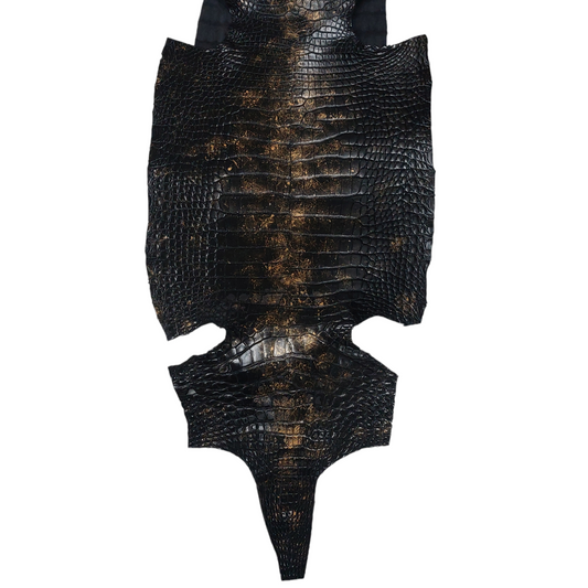 Alligator Belly Skin, Black, Element Finish, 32cm, Grade I/II