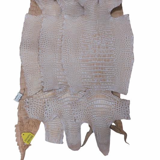 Alligator Belly Skin,White / Tan, Spectre Finish, Grade I/II