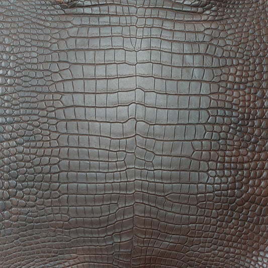 Porosus Crocodile Brown Matte Finish 37/48cm Grade 1/2