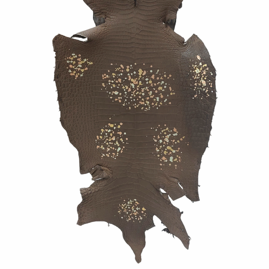 Cotinga Alligator Belly Skin, Marron, Grade I/II