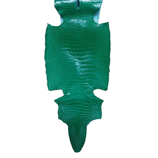 Emerald Green 23-29cm Glazed Finish American Alligator Grade 3