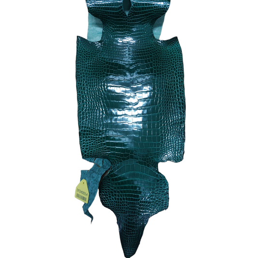 Dark Green 23-29cm Glazed Finish American Alligator Grade 3