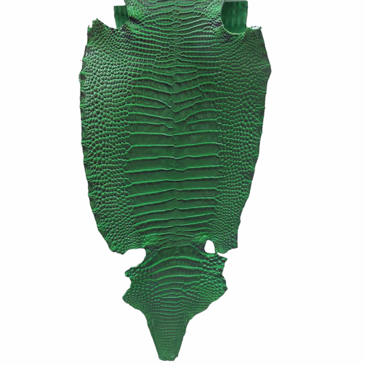 Alligator Belly Skin, Luisance Finish, Green, 27cm, Grade I/II