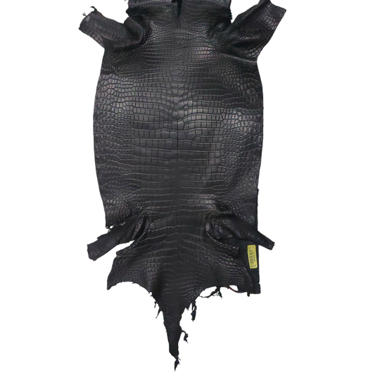 Porosus Crocodile Black Matte Finish 40-42cm Grade 1/2