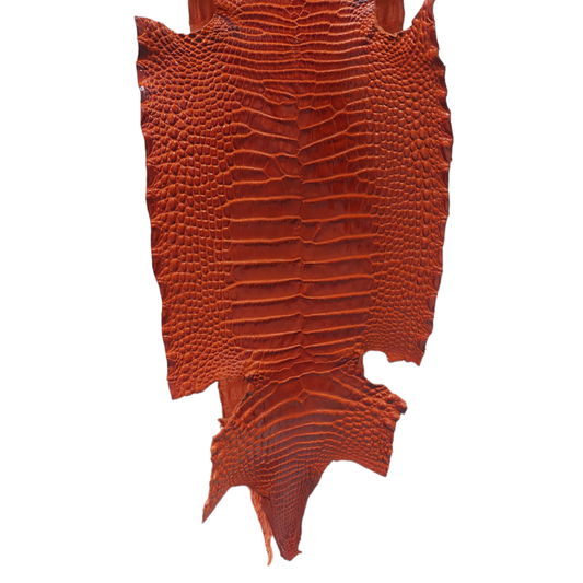 Alligator Belly Skin, Luisance Finish, Orange, 28cm, Grade I/II