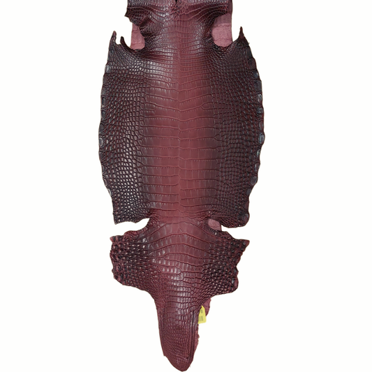 Alligator Belly Skin, Burgundy, Ombre Finish, Grade I/II