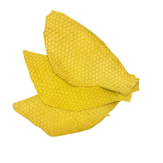 Yellow Tilapia Fish Leather